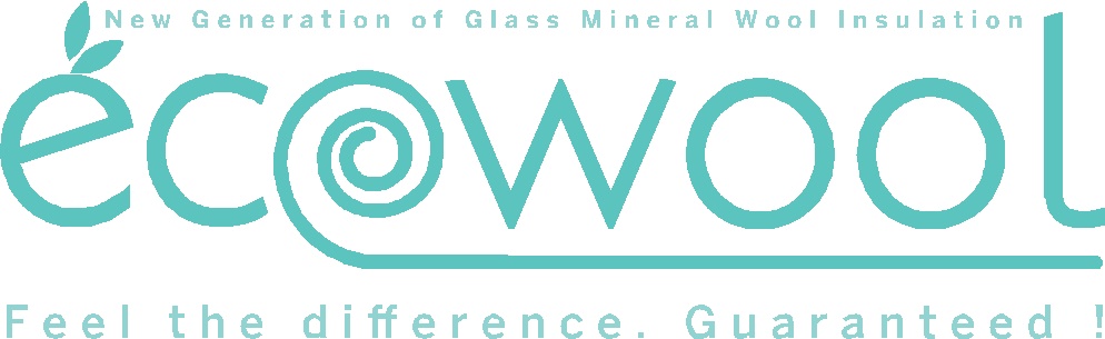 ecowool logo turq.jpg